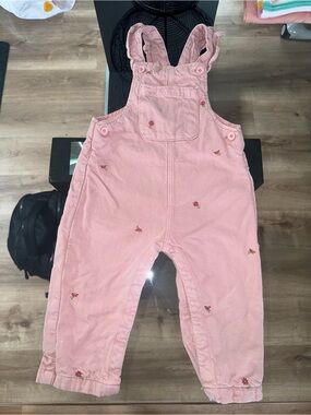🌸ZARA Classic Pink Embroidered Overalls - 12/18M